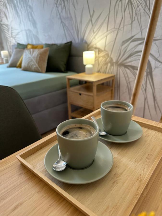 Green Apartment - City Centre - Main Square Liptovský Mikuláš 外观 照片